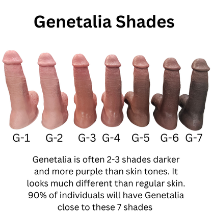 Orion: 5.5" All In One Prosthetic PAINTED DUAL DENSITY